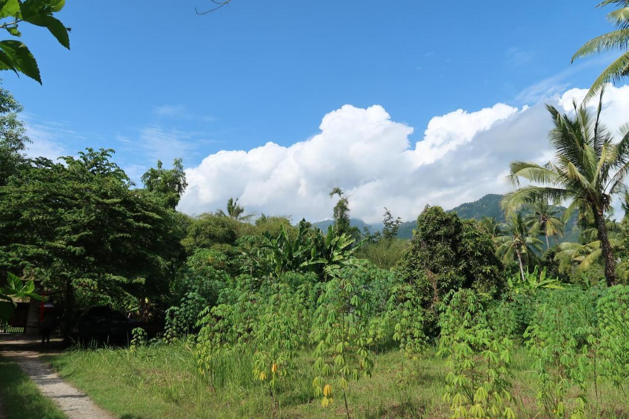 Villa Aditya Tejakula Luaran gambar